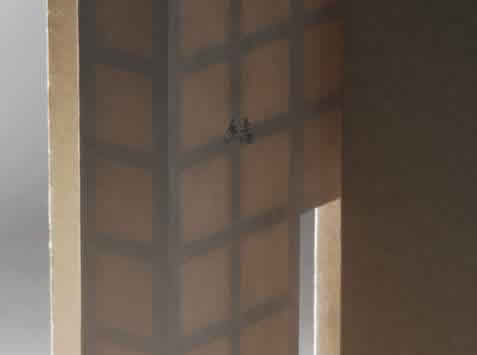 屏風：結